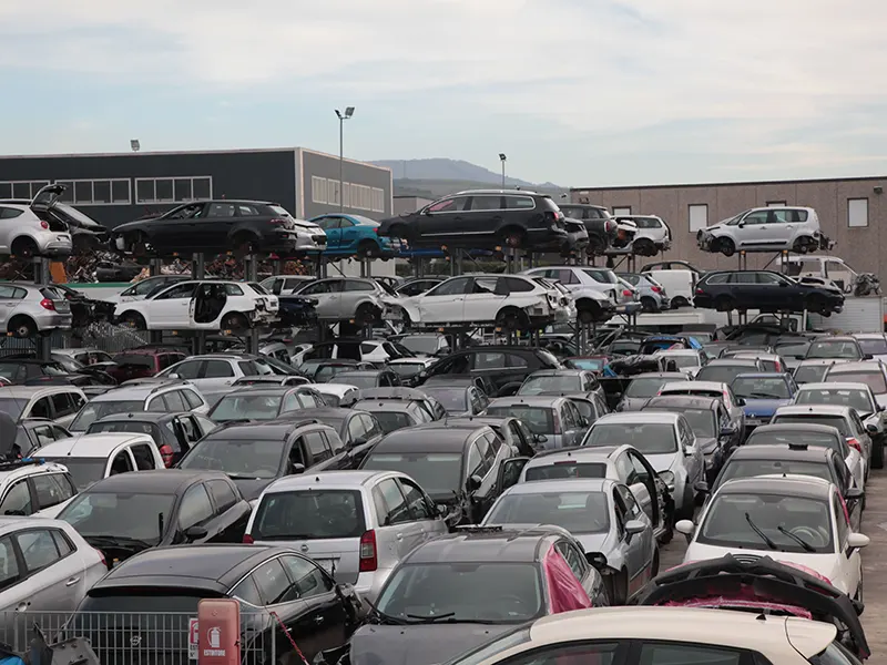 Team DEM. AUTO Ravenna